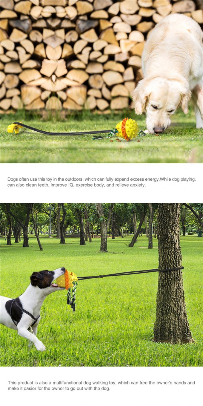 Boule bien conçue de Toy Outdoor Water Dog Chewing d'animal familier avec la boule de nettoyage de dent de chien de corde d'arrêtoir