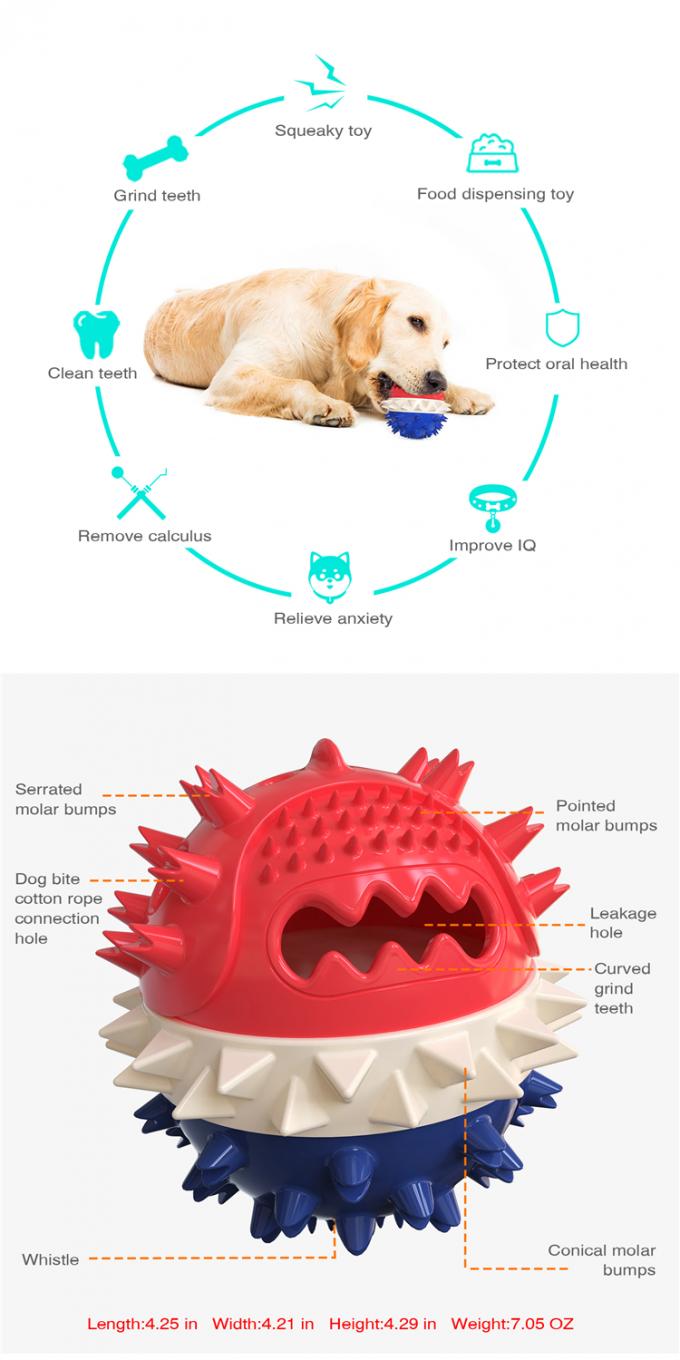 Morsure molaire personnalisée Toy For Cleaning Pet Teeth d'animal familier matériel sain