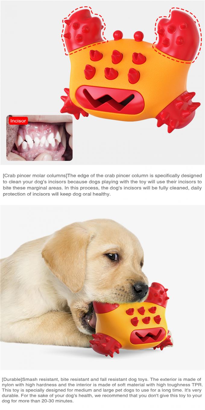 Bruit molaire de nettoyage molaire protecteur multifonctionnel de morsure de brosse à dents de Tpr d'animal familier mâchant le jouet de chien d'amusement