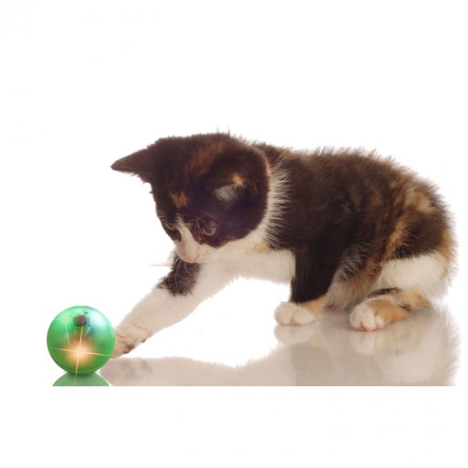 Boule de roulement interactive de lumière clignotante Cat Teaser Toys Hollow Sound pour Cat Playing