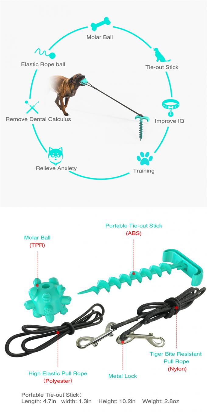 Chien acéré de mastication interactif de nettoyage Toy With Rope d'animal familier en trois pièces durable supplémentaire d'ensemble de dents